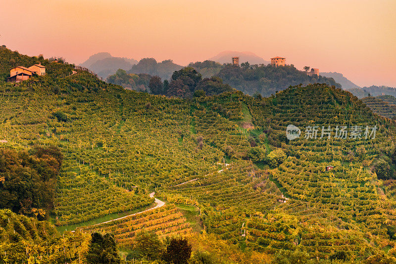 Farra di Soligo(电视)-日落和雾在普洛赛科葡萄园和克雷达佐塔